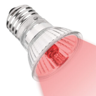 BURAQ 50W Infrared UV Rays (Red) Night Use UVA UVB, Ultraviolet Basking Heat Light Bulb (Set Of 1 UV Bulb - 50W)