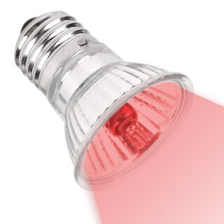 BURAQ Red Infrared Heat Bulb for Reptiles – UVA UVB Light Bulb for Night Basking & Warmth – Terrarium Bulb (50W, Set Of 1)