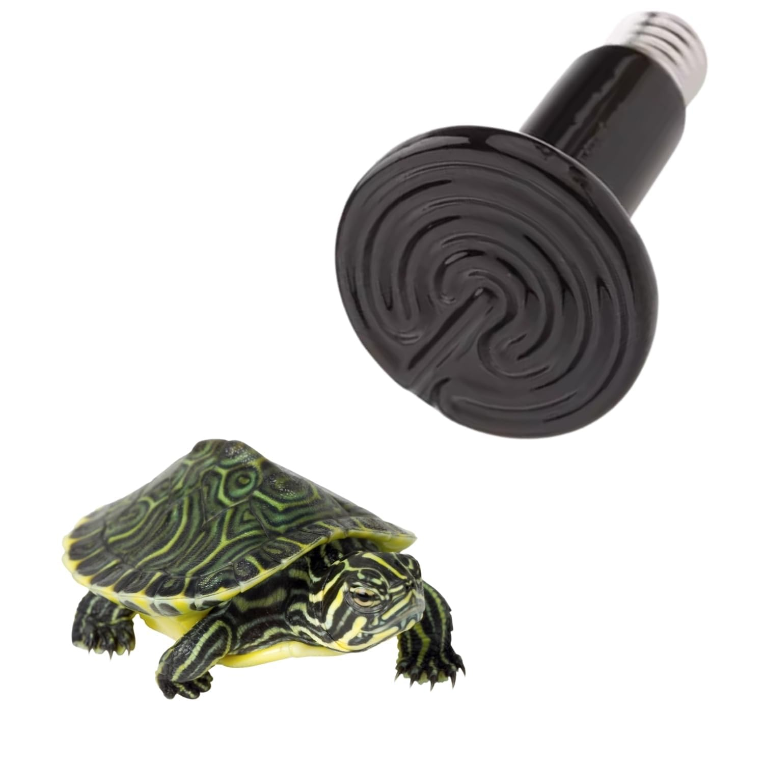 Gorilla pets Turtle Heating Ceramic Lamp – Energy-Efficient Reptile Heat Source, Promotes Healthy Temperature for Turtles, Reptiles, Amphibians, Durable & Safe Design, All Terrariums (80 WATT)