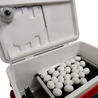 METRO IMPEX Plastic Electric Incubator For Egg Hatching,100 Eggs Incubator With Humidity Display, Easy To Use With Low Power Consumption, Multi