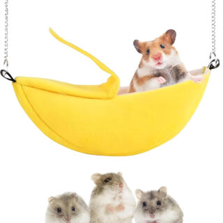 Sugar Glider Travel Pouch, Hamster Carrier for Small Pets, Portable Bag for Sugar Glider, Hamster, Squirrel, Chinchilla, Hedgehog, Warm Shelter with Hanging Swing