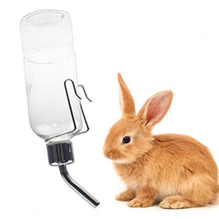 Sage Square Leak Proof Cage Attachment Water Bottle Cum Feeder for Guinea Pig/Rabbit/Puppy/Cat/Kitten (180ml)