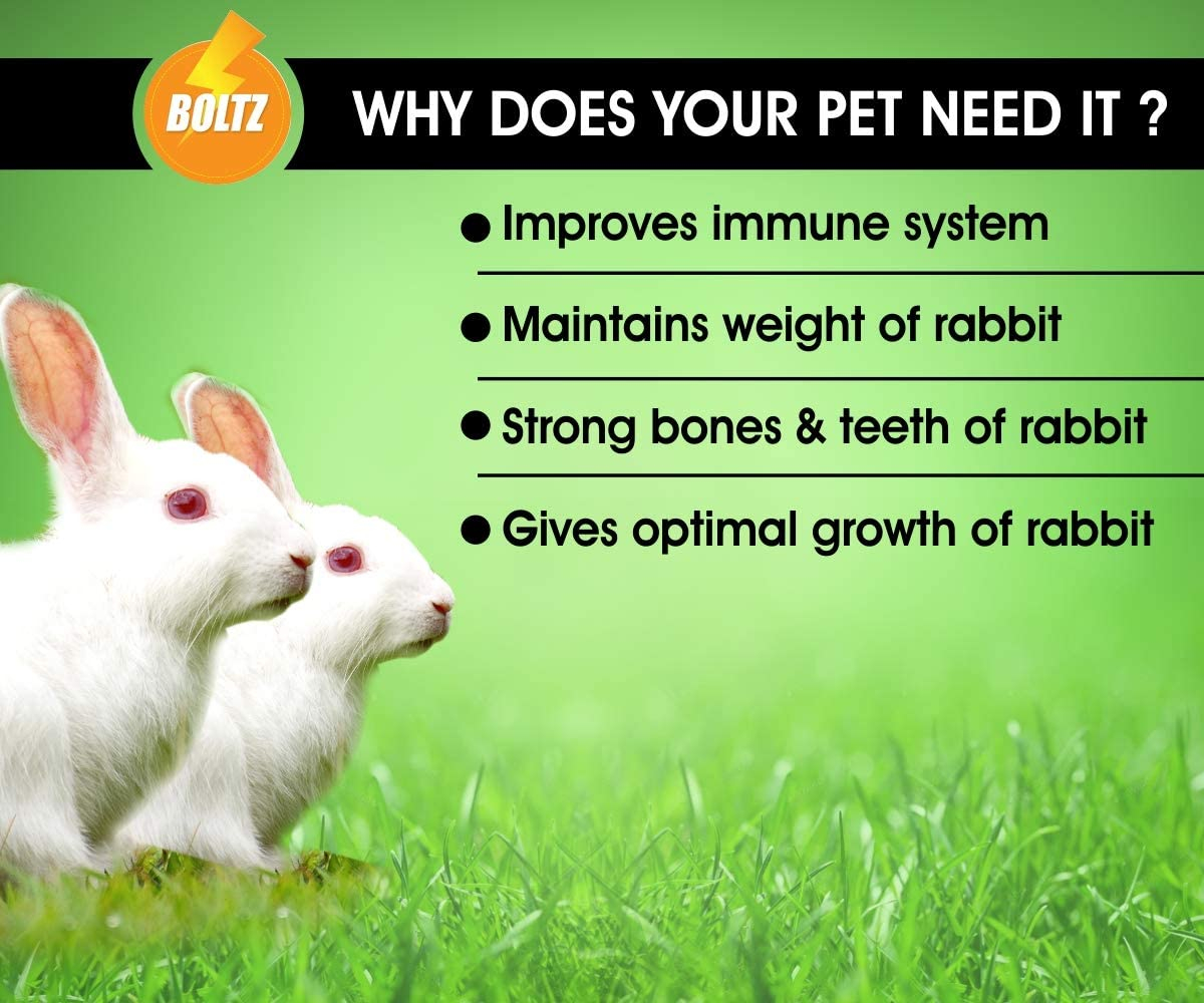Boltz Premium Adult Pellet Rabbit Food, Nutritionist Choice (Rabbit Food 1.2KG) - Image 2