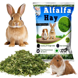 Sage Square Alfalfa Hay - Protein, Calcium-Rich Hay for Rabbits, Guinea Pigs, Hamsters & Small Animals | Supports Growth, Healthy Teeth, Digestion | Sun-Dried, Hand-Selected Alfalfa Feed | 400 gm