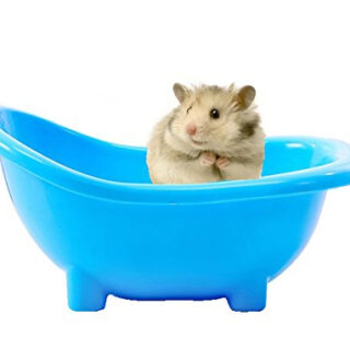 Sage Square 19cm Bath Sand Tub Cum Bathroom for Hamster/Dwarf/Gerbil/Chinchilla/Mice (Blue)
