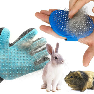 Dasksha Rabbit Grooming Kit With Brush - Top Holiday Pet Deals The Best Hair And Remover- Bunny & Guinea Pig