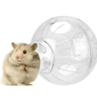 Western Era Cute Exercise Ball Jogging Wheel, Entertain, Increase Skills, IQ Level, Lightweight, Breathable, Suitable for Hamsters & Small Animals (White)