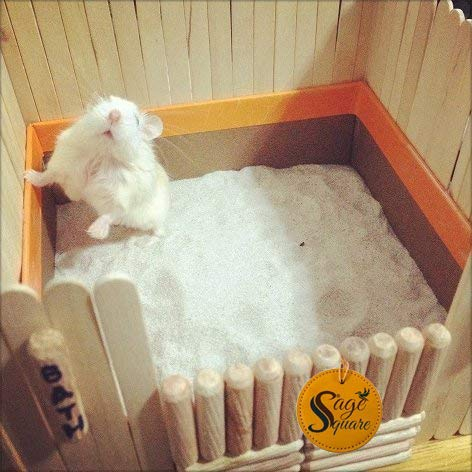 Sage Square Bath Sand for Hamster/Dwarf/Gerbil/Chinchilla/Mice (500 Grms) (Lemon Fragrance) - Image 2