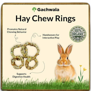 Organic Handwoven Hay Chew Rings for Small Animals (Pack of 4) – Perfect for Rabbits, Guinea Pigs, Hamsters, Chinchillas, and Gerbils – Chew Toy to Promote Dental Health
