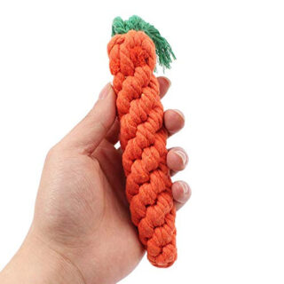 Generic 1 Pcs Cute Adorable Pet Chew Toy Straw Carrot for Hamster Guinea Rabbit Rat Animal Supplies Maize Pets: 1