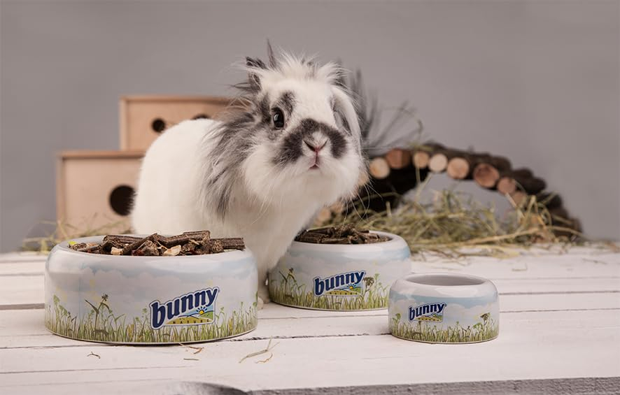 Bunny Nature Super Premium Enjoy Nature Nibble Fun Pear Wood - 200g | Natural Chew Snack for Adult Dwarf Rabbits, Guinea Pigs, Chinchillas, Degus, Dwarf Hamsters, Mice, Gerbils & Rats,Stick - Image 2