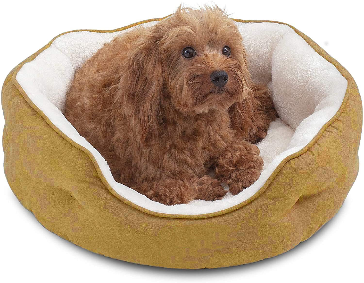 PAWSOME Round Cat Bed for Indoor Cats Clearance Washable Dog Bed for Puppy and Kitties with Slip-Resistant Bottom, Plush Flannel Pet Supplies Small Beige - Image 2
